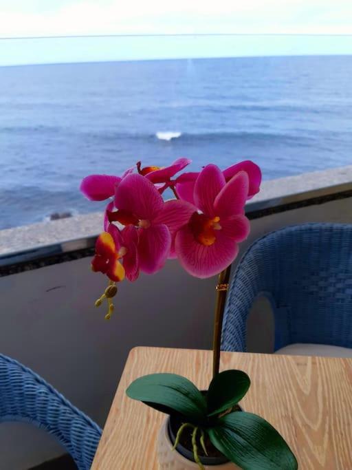 Apartamento Ocean Orchidea Puerto de la Cruz  Exterior foto